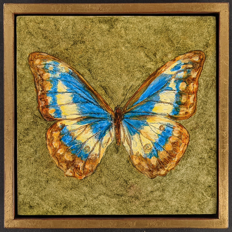 Butterflies,Butterfly,Natural History,Insects,Morpho Cypris,Hudson Valley Art,Hudson Valley Artist,Gregory Arnett,Gregory Arnett Studios,Silver Metal Leaf,Float Frame,Gold Metal Leaf,Butterfly Paintings,Nature Art, Nature Painting