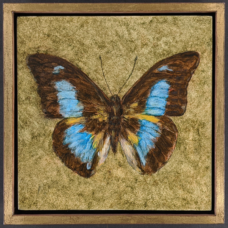 Butterflies,Butterfly,Natural History,Insects,Prepona Demophon,Hudson Valley Art,Hudson Valley Artist,Gregory Arnett,Gregory Arnett Studios,Silver Metal Leaf,Float Frame,Gold Metal Leaf,Butterfly Paintings,Nature Art, Nature Painting