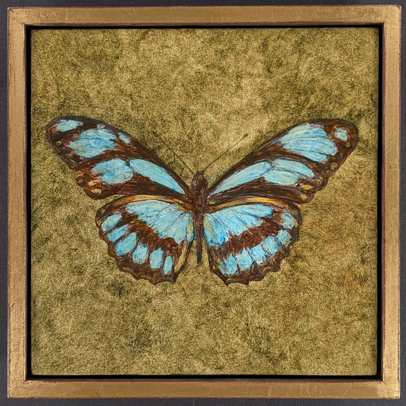 Butterflies,Butterfly,Natural History,Insects,Philaethria Dido,Hudson Valley Art,Hudson Valley Artist,Gregory Arnett,Gregory Arnett Studios,Silver Metal Leaf,Float Frame,Gold Metal Leaf,Butterfly Paintings,Nature Art, Nature Painting