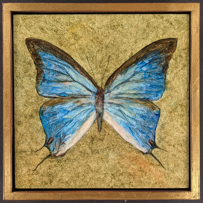 Butterflies,Butterfly,Natural History,Insects,Thecla Marsyas,Hudson Valley Art,Hudson Valley Artist,Gregory Arnett,Gregory Arnett Studios,Silver Metal Leaf,Float Frame,Gold Metal Leaf,Butterfly Paintings,Nature Art, Nature Painting